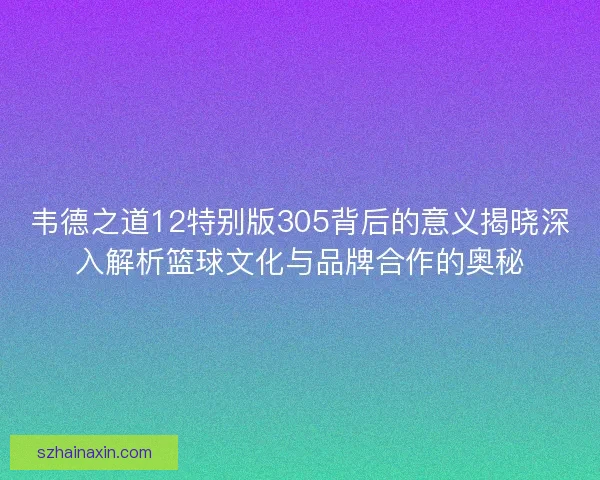 韦德之道12特别版305背后的意义揭晓深入解析篮球文化与品牌合作的奥秘
