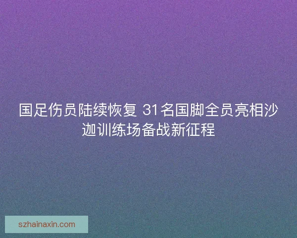 国足伤员陆续恢复 31名国脚全员亮相沙迦训练场备战新征程
